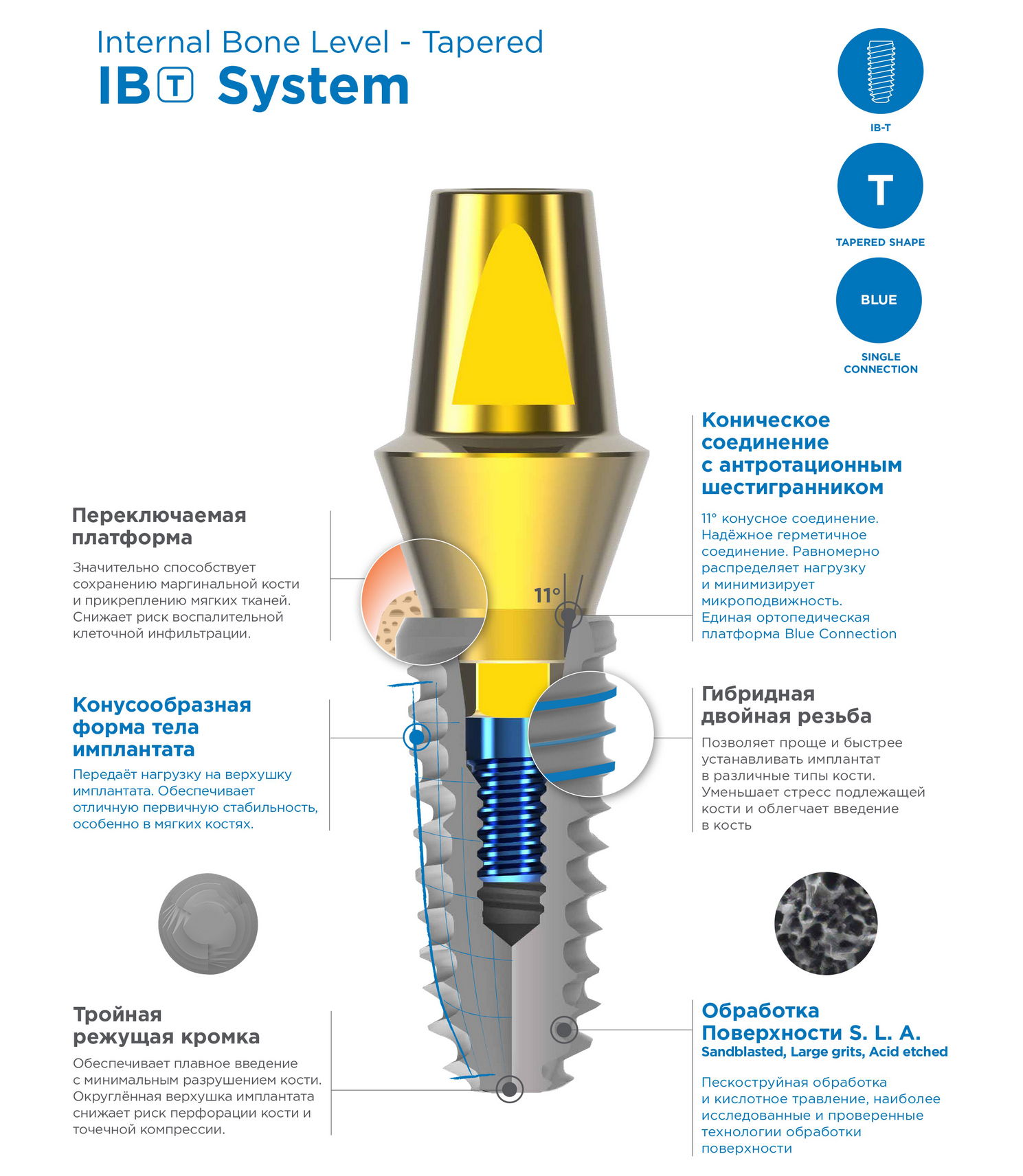 IB-T System